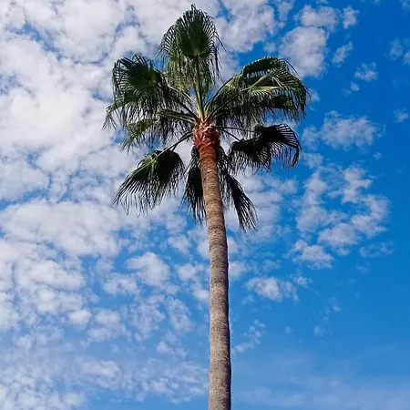 公寓 Estudio-monoambiente 2 Personas En Con Piscina *