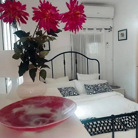 Estudio-monoambiente 2 Personas En Con Piscina *