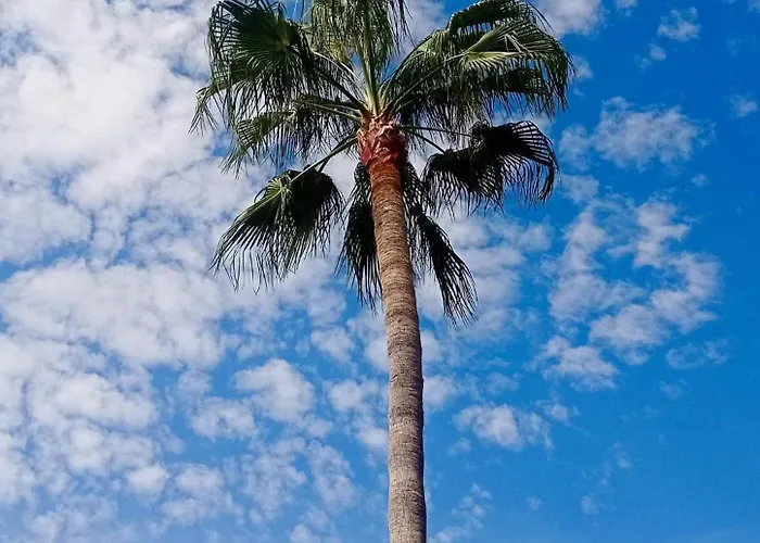 Apartamento Estudio-monoambiente 2 Personas En Con Piscina *